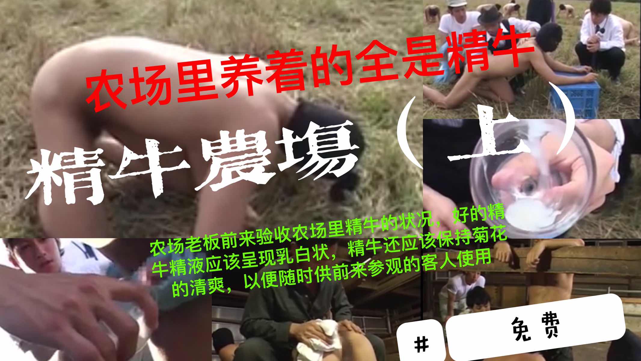 【免費】精牛農場，裡面養著全是人形精牛，老闆前來驗收，好的精牛的精液應該呈現乳白色